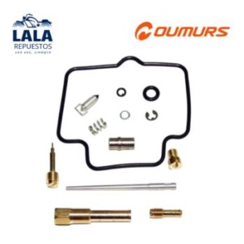 KITS DE REPARACION DE CARBURADOR (SET) - BAJAJ ROUSER 200NS