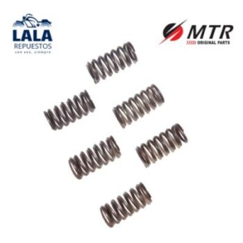 RESORTES DE EMBRAGUE (SET) - MOTOMEL DAKAR 200 - (SETX6)