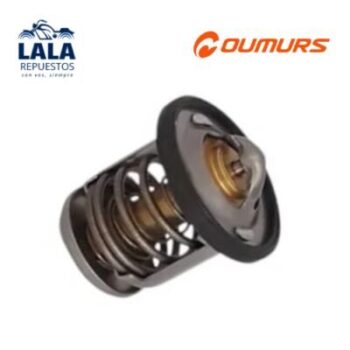 TERMOSTATO - BAJAJ ROUSER 135,150,160,200NS, DOMINAR