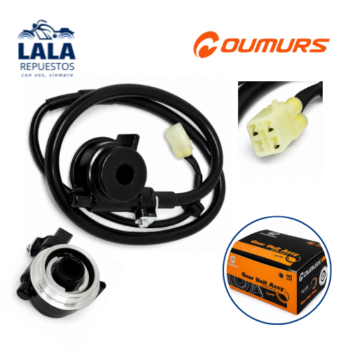 REENVIOS DIGITALES - BAJAJ ROUSER 125,135,160,180,220